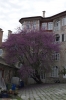 Grecia - Monte Athos - Monastero di Vatopedi