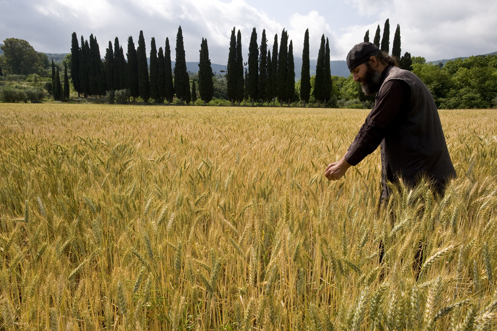 CHE COSA E' IL PROGETTO MONTE ATHOS